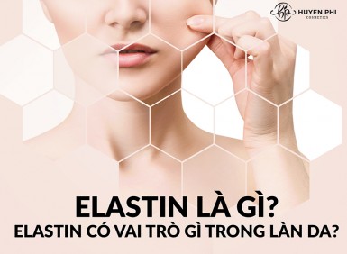 Elastin là gì? Elastin có vai trò gì trong làn da?
